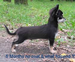 6months