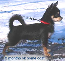 7 to 8 months